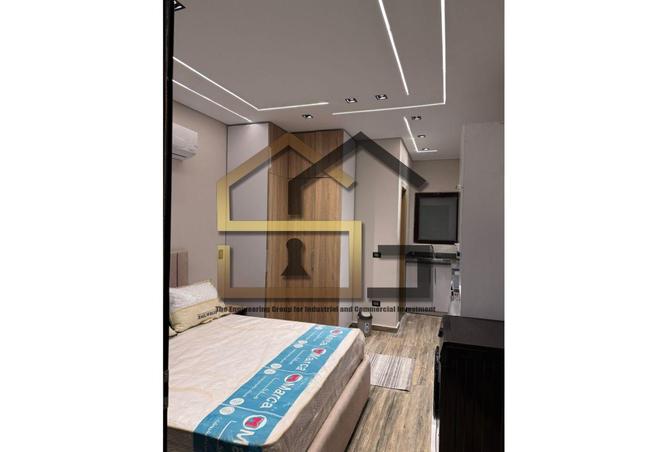 8233957 - Property Image 3