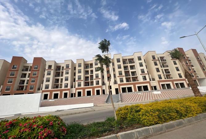 8334225 - Property Image 3