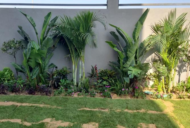 8439650 - Property Image 2