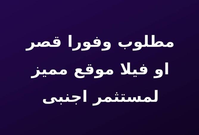 8160445 - Property Image 2