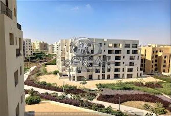 7973863 - Property Image 3