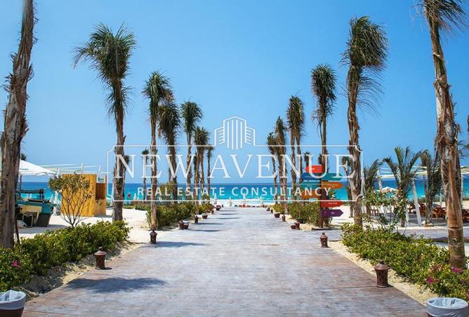 8197467 - Property Image 2