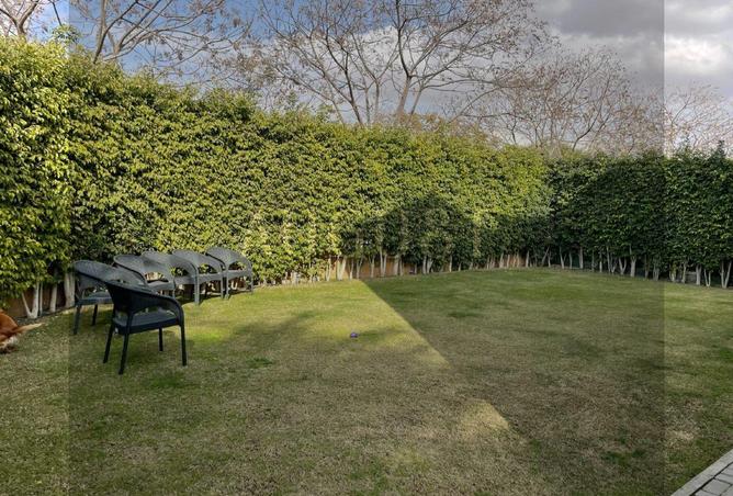 8309762 - صورة العقار 3