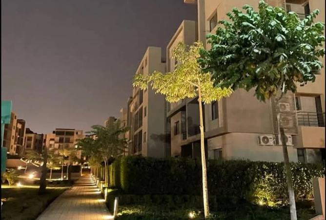 8193749 - صورة العقار 2