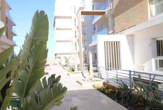 8484972 - Property Image 2