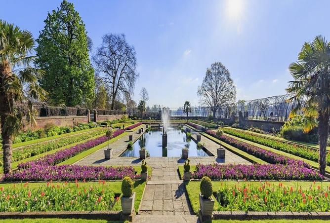 8117199 - صورة العقار 3