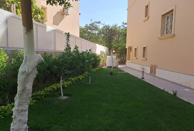 8133007 - صورة العقار 2