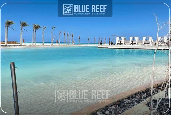 8411187 - صورة العقار 3