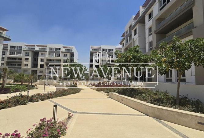 8427533 - Property Image 2