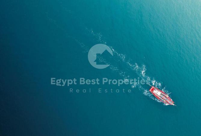 7884142 - صورة العقار 2