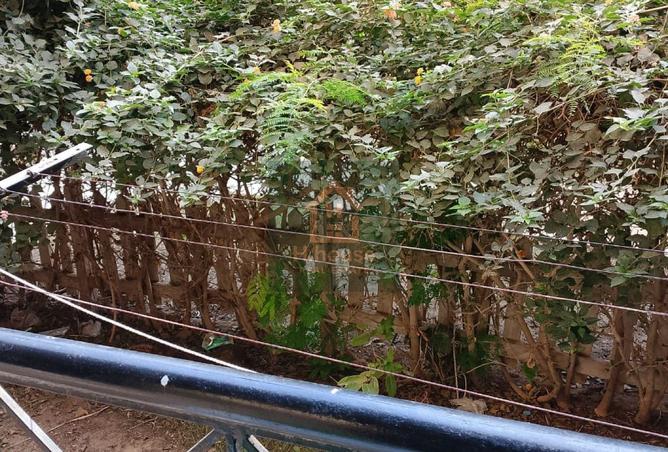 8291303 - Property Image 2