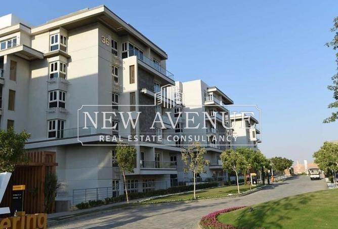 7991572 - Property Image 2