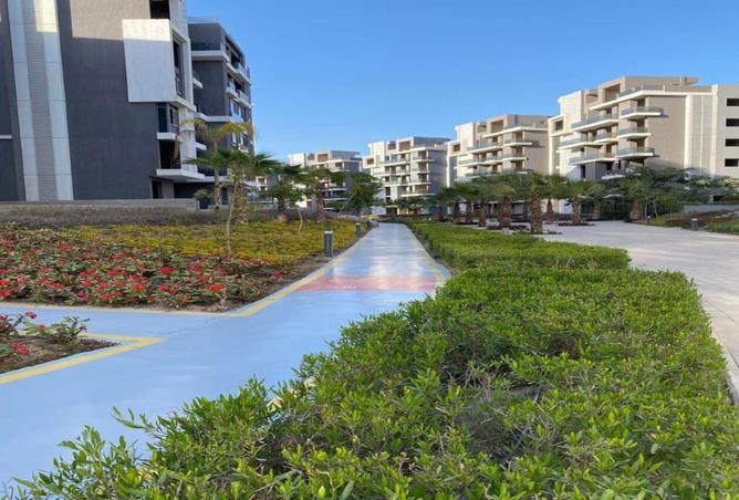 8025909 - Property Image 2