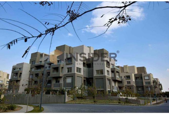 8454462 - Property Image 3