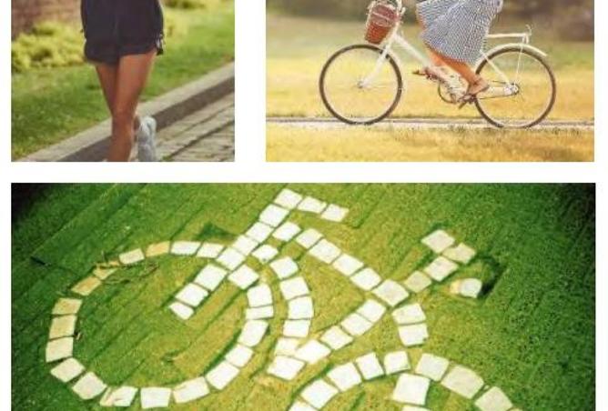 8249602 - Property Image 2