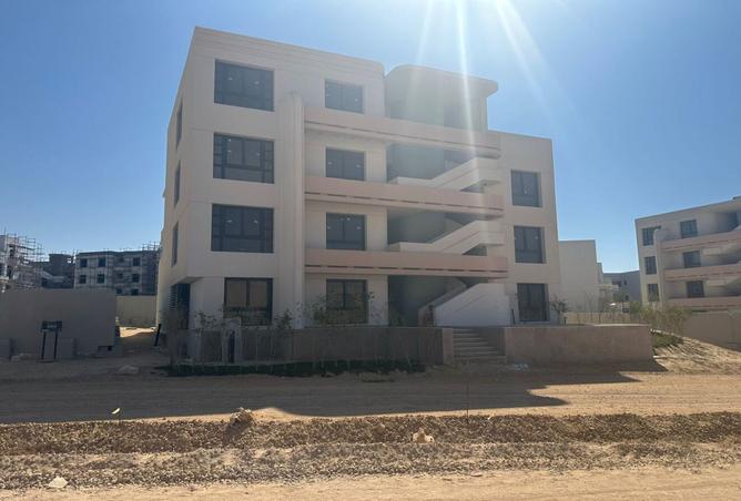 8002977 - صورة العقار 2