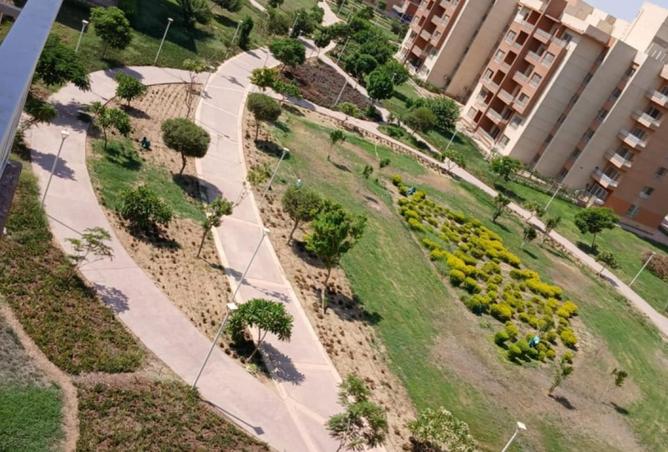 8019603 - الصورة الرئيسية للعقار