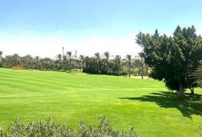 8184831 - Property Image 3