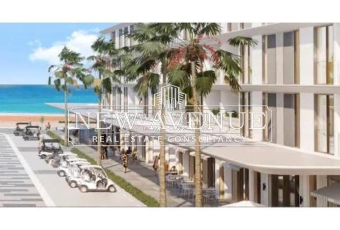 8127954 - Property Image 3