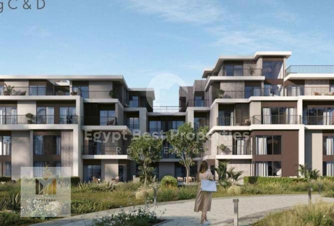 8012626 - Property Image 3