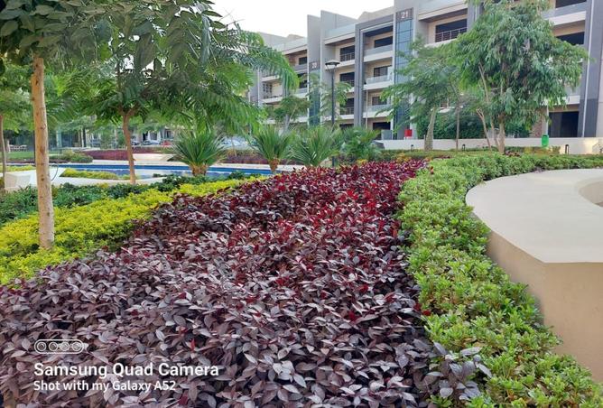 8182267 - صورة العقار 3