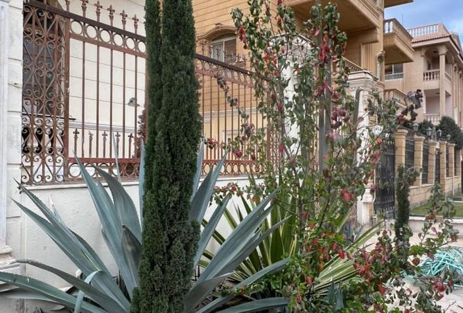 8258211 - Property Image 3