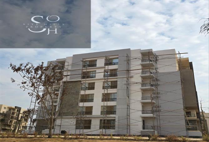 7987764 - Property Image 3