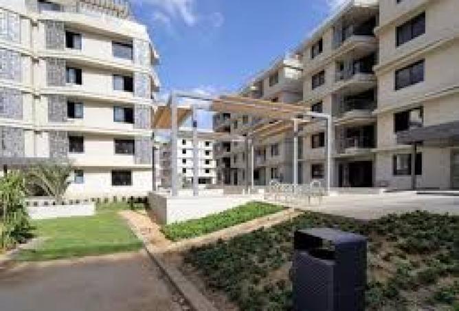 8432893 - Property Image 3