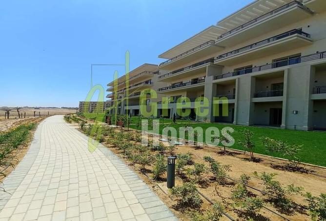 7930278 - Property Image 3