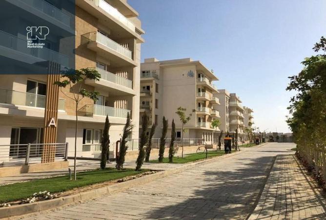 8135153 - Property Image 3