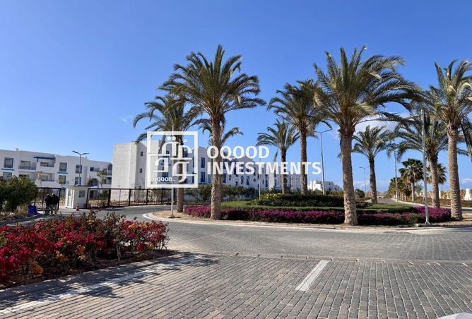 8480953 - Property Image 3