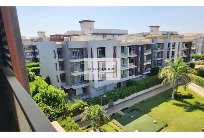7993934 - Property Image 2