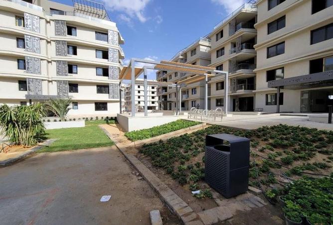 7988997 - Property Image 3