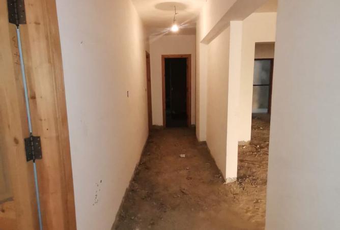 8161406 - صورة العقار 3