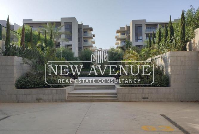 8148956 - Property Image 3