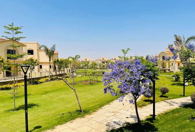 8386020 - Property Image 3