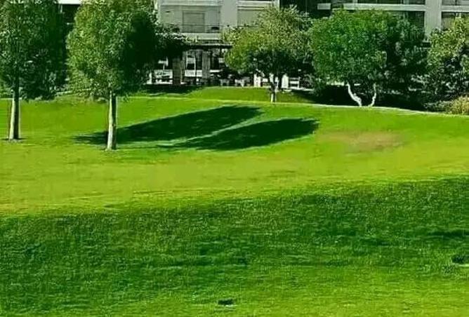 8035335 - صورة العقار 3