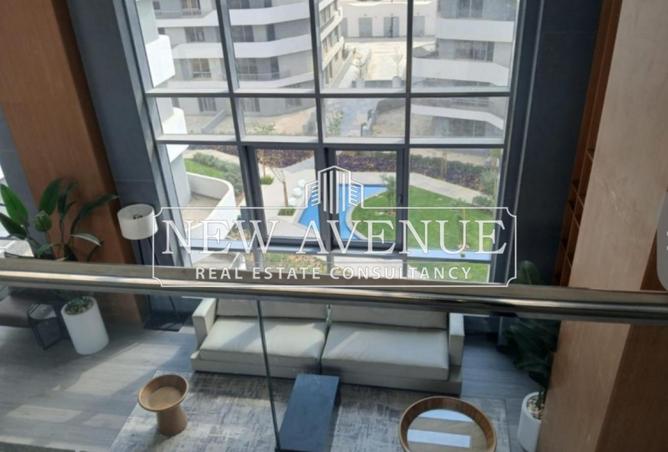 8372842 - Property Image 2