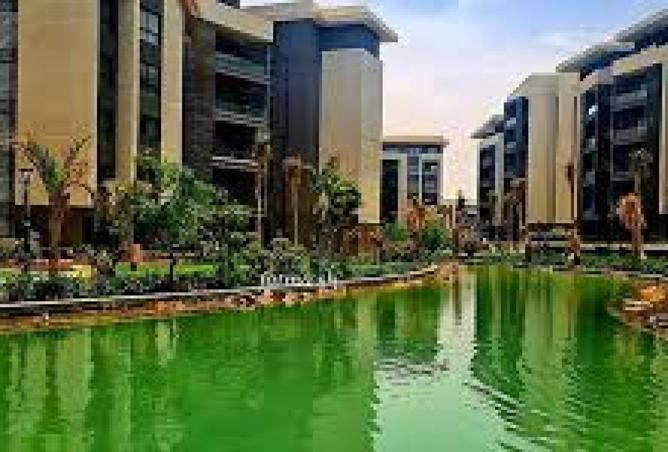 8462114 - الصورة الرئيسية للعقار