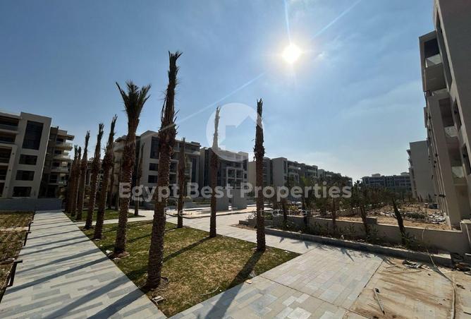 8295455 - صورة العقار 3