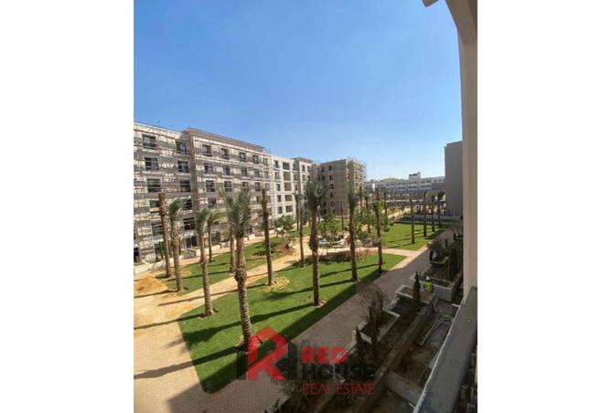 7262724 - Property Image 3