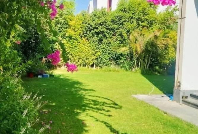 8213584 - صورة العقار 2