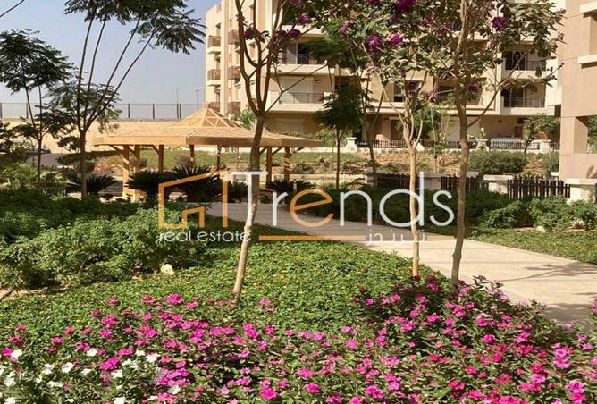 8398130 - صورة العقار 2