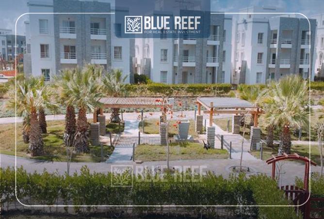 8276473 - Property Image 3