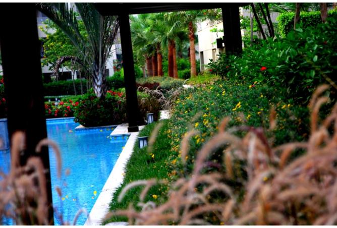 8294610 - صورة العقار 2