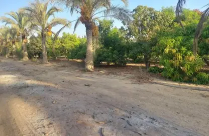 Land - Studio for sale in Gamaiet Ahmed Orabi - Obour City - Qalyubia