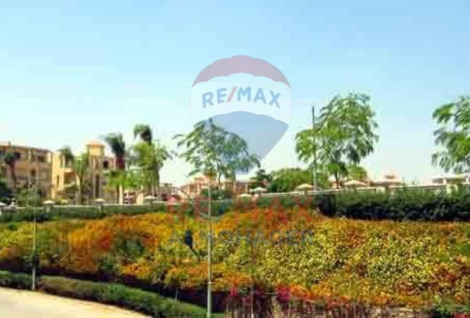 7961955 - صورة العقار 3