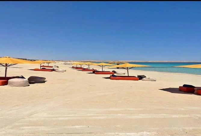 8312994 - صورة العقار 3