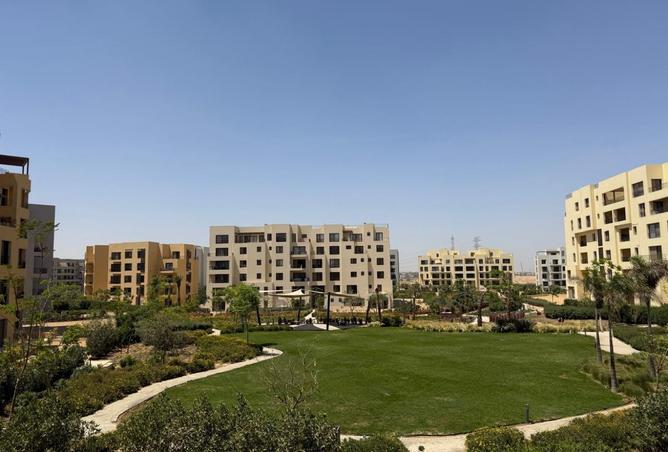 8261579 - صورة العقار 3