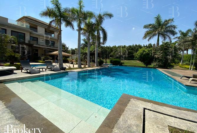 8455531 - Property Image 2